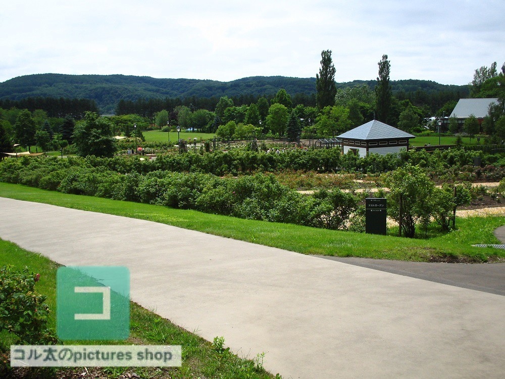 カントリー風景①10枚・1セット