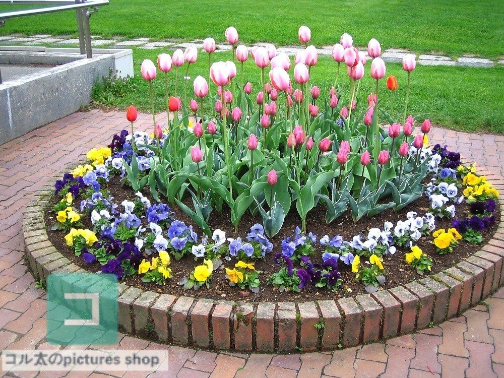 花壇②10枚・1セット