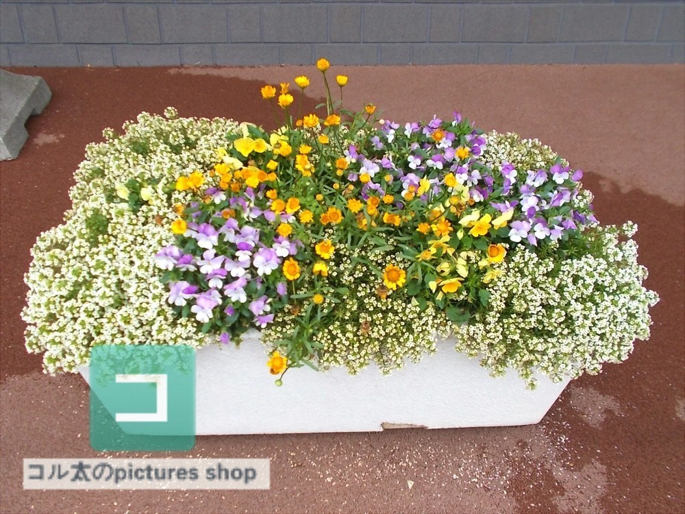 花壇②10枚・1セット