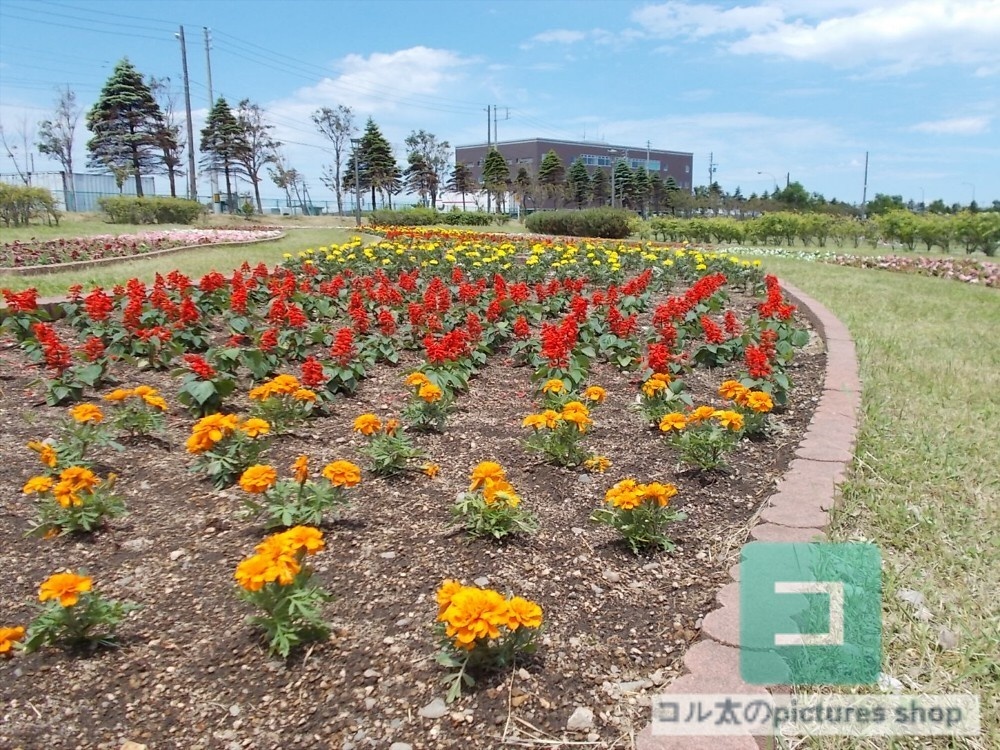 花壇②10枚・1セット