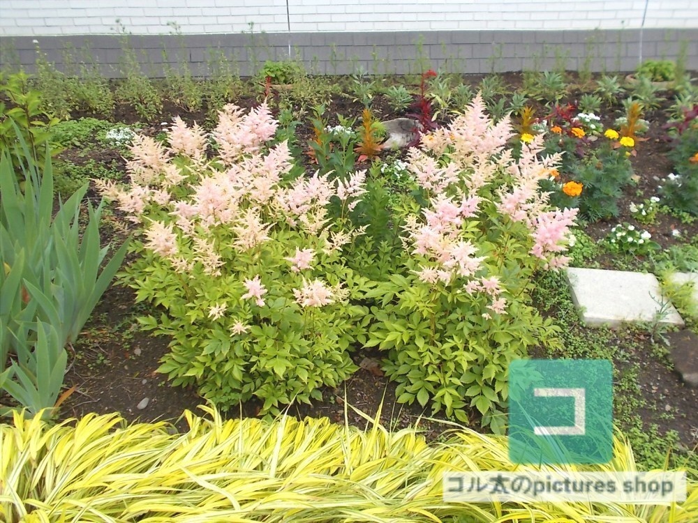 花壇②10枚・1セット