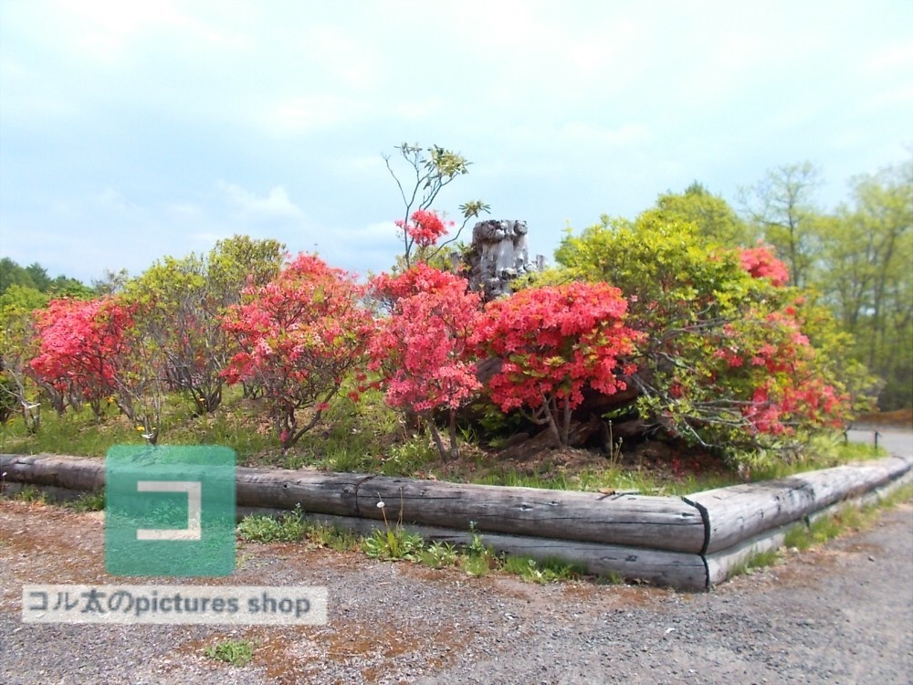 花壇②10枚・1セット