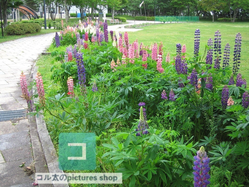 花壇②10枚・1セット