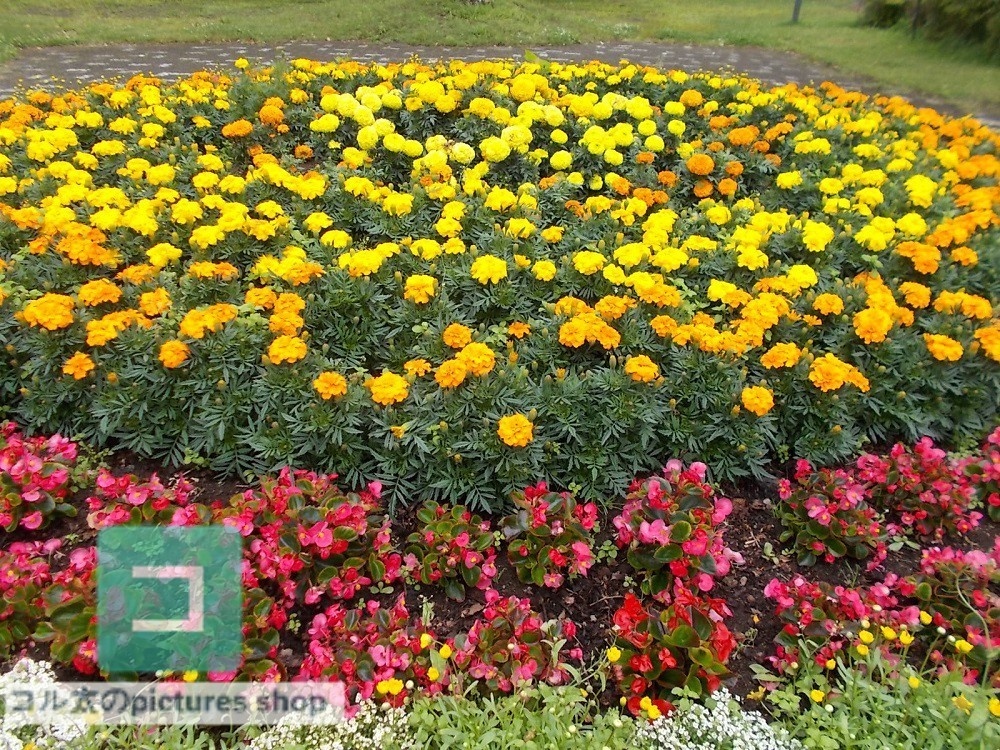 花壇②10枚・1セット