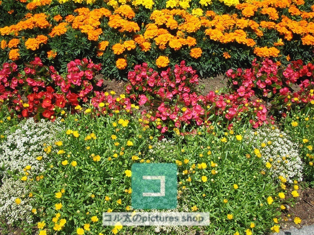 花壇①10枚・1セット