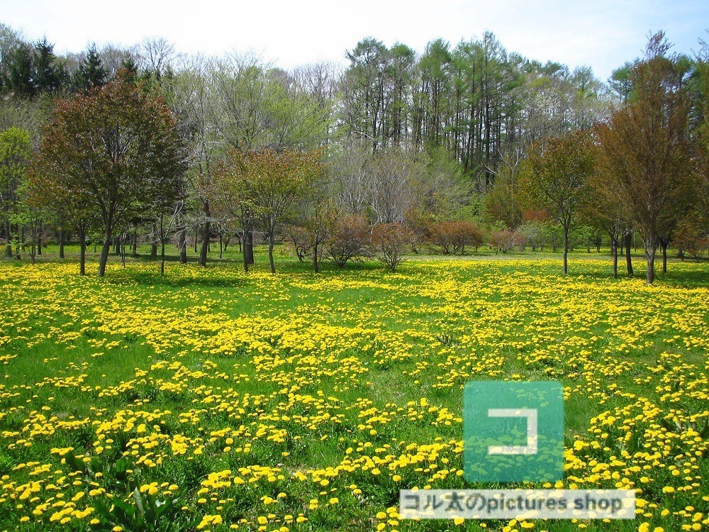 花壇①10枚・1セット