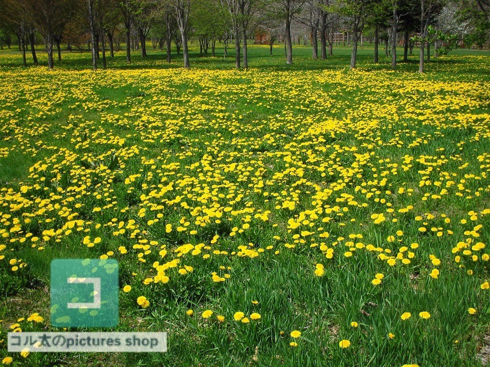 花壇①10枚・1セット