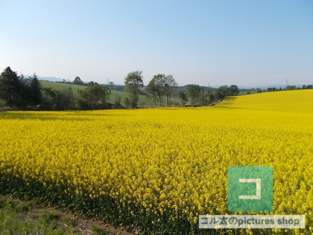 花壇①10枚・1セット