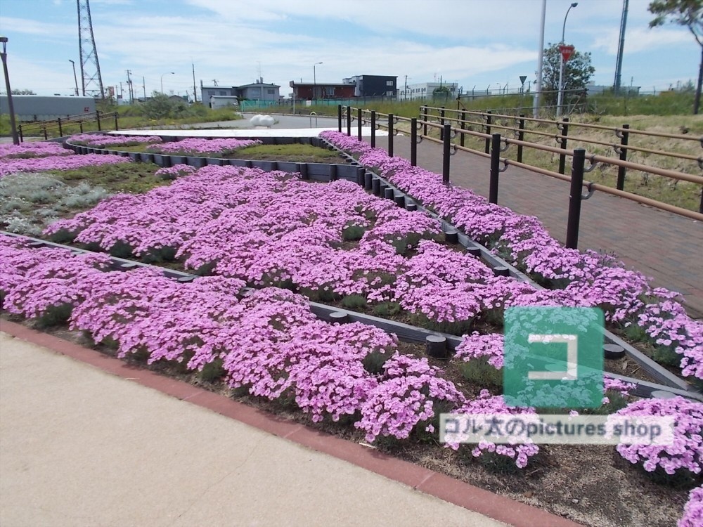 花壇①10枚・1セット