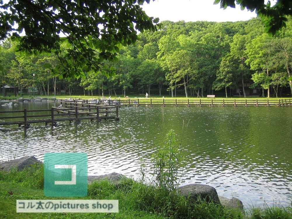 池ある風景③10枚・1セット