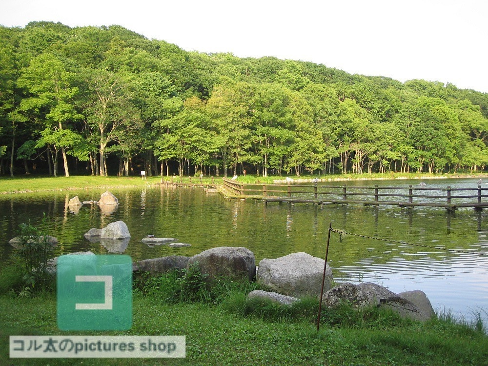 池ある風景③10枚・1セット