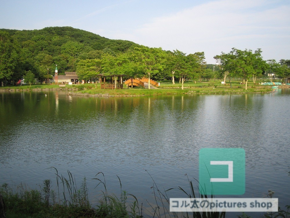 池ある風景③10枚・1セット