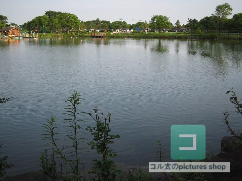 池ある風景③10枚・1セット
