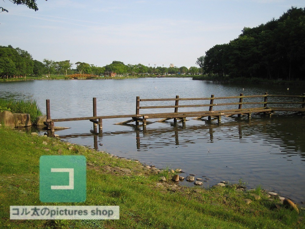 池ある風景③10枚・1セット