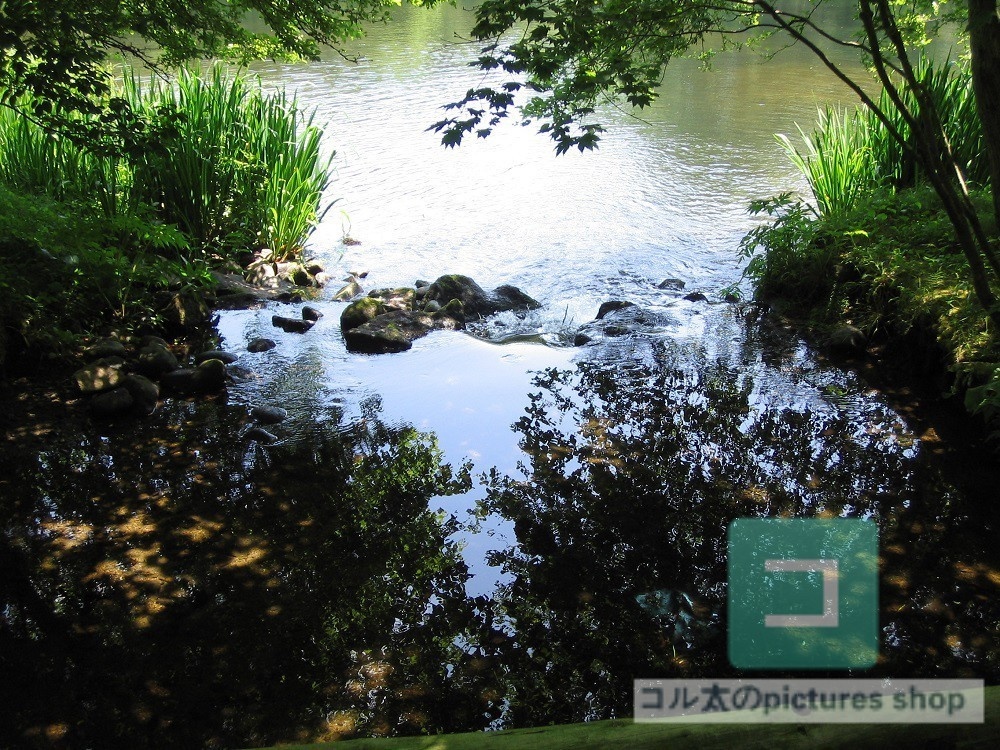 池ある風景①10枚・1セット