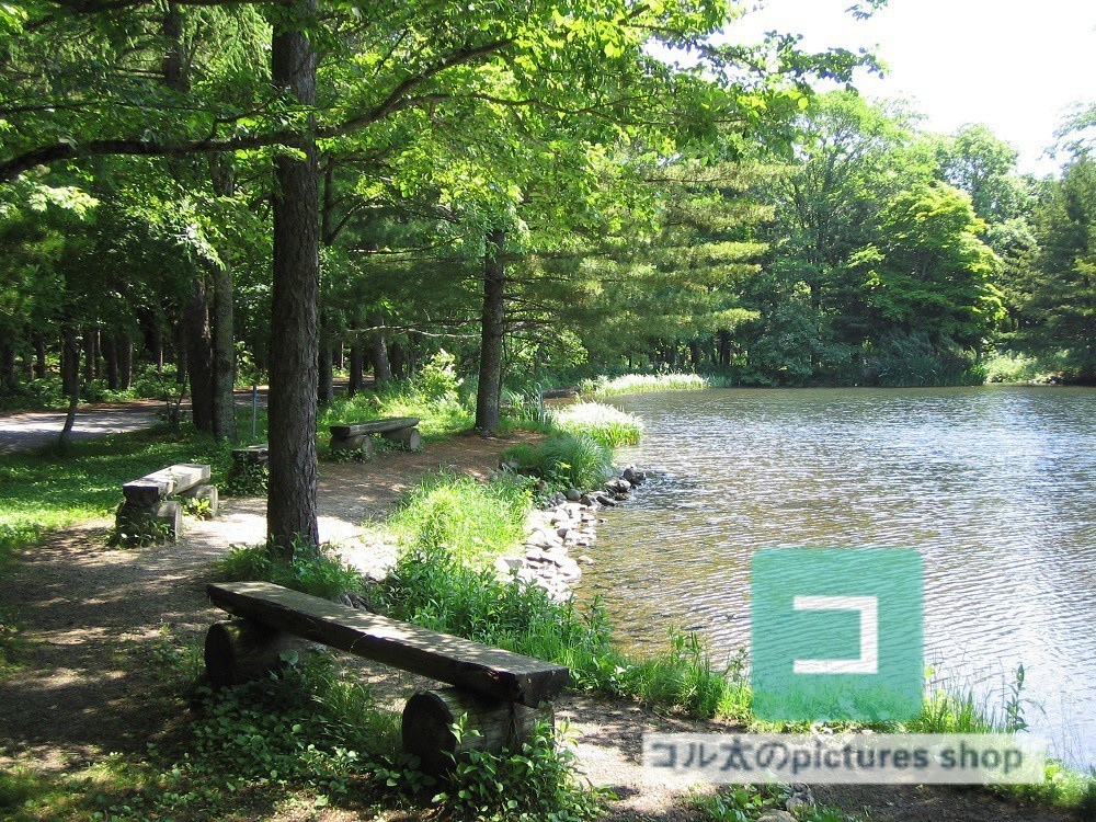池ある風景①10枚・1セット