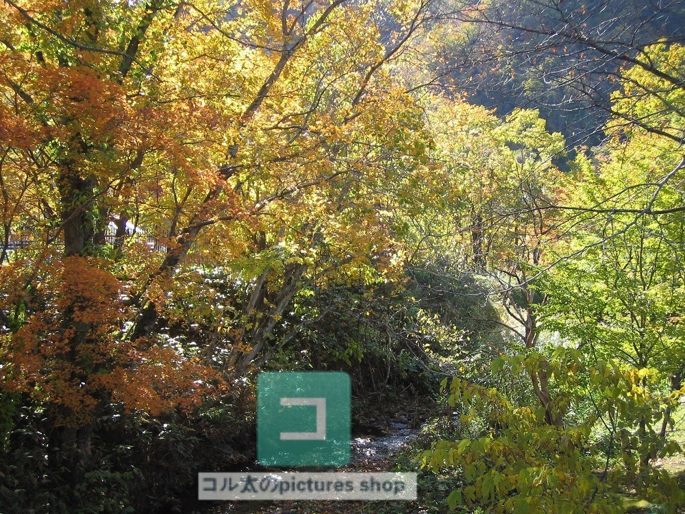 紅葉のある風景①10枚・1セット