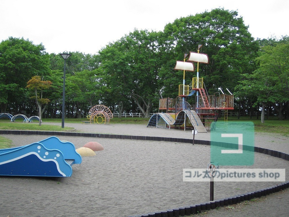 公園の風景①10枚・1セット