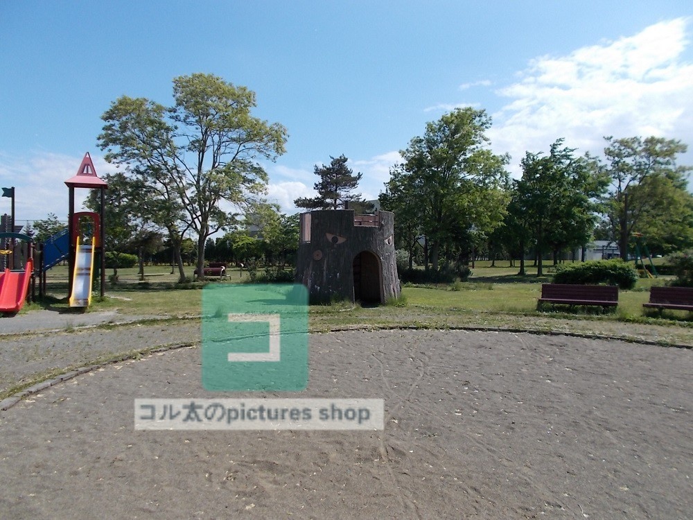 公園の風景①10枚・1セット