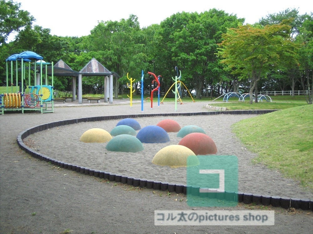 公園の風景①10枚・1セット