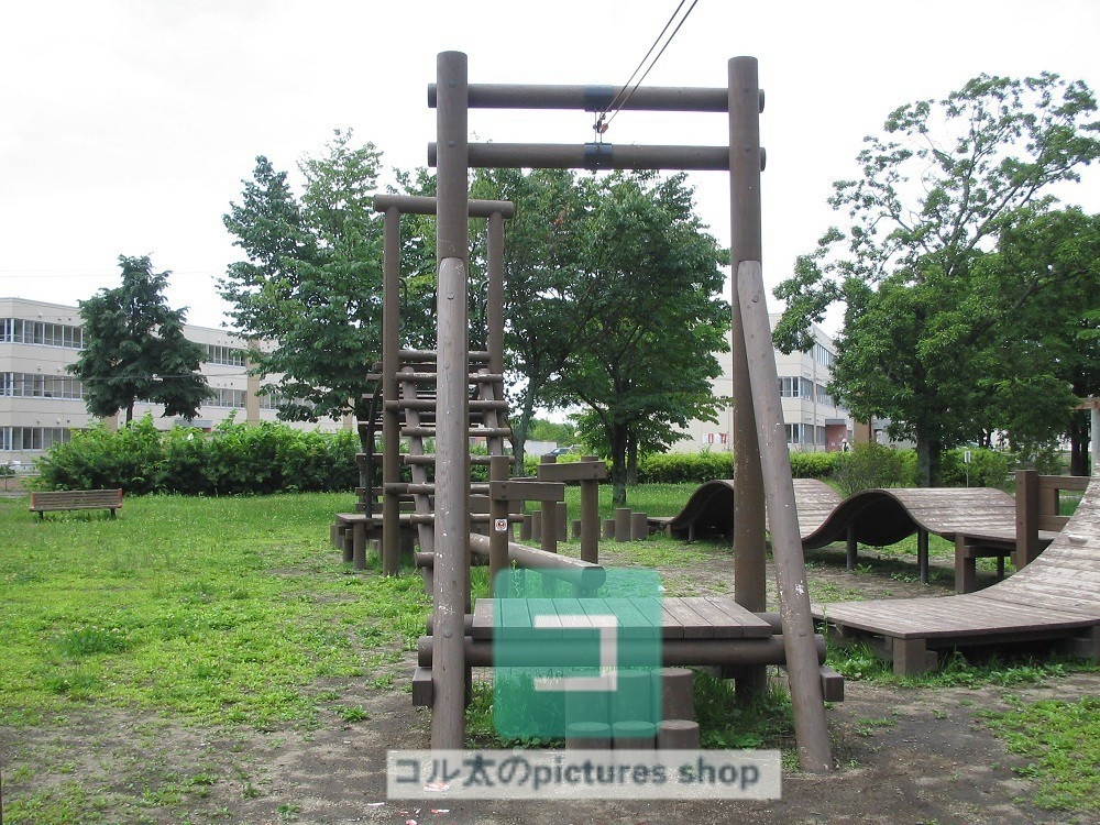 公園の風景②10枚・1セット