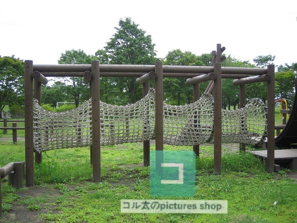 公園の風景②10枚・1セット