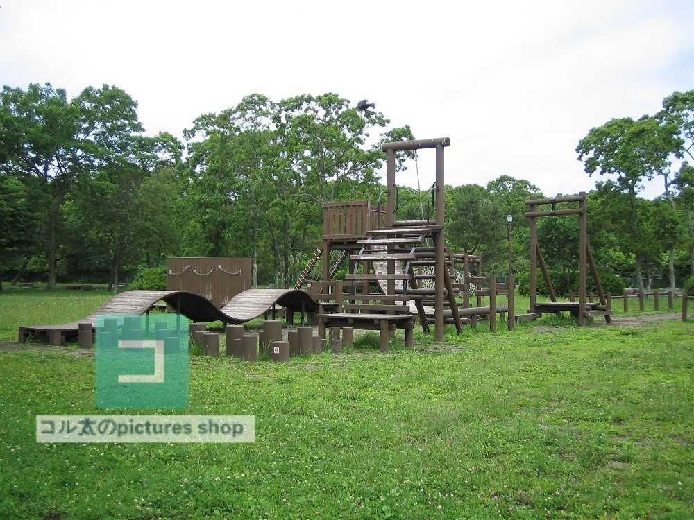 公園の風景②10枚・1セット