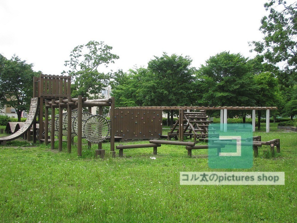 公園の風景②10枚・1セット