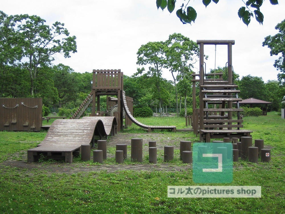 公園の風景②10枚・1セット