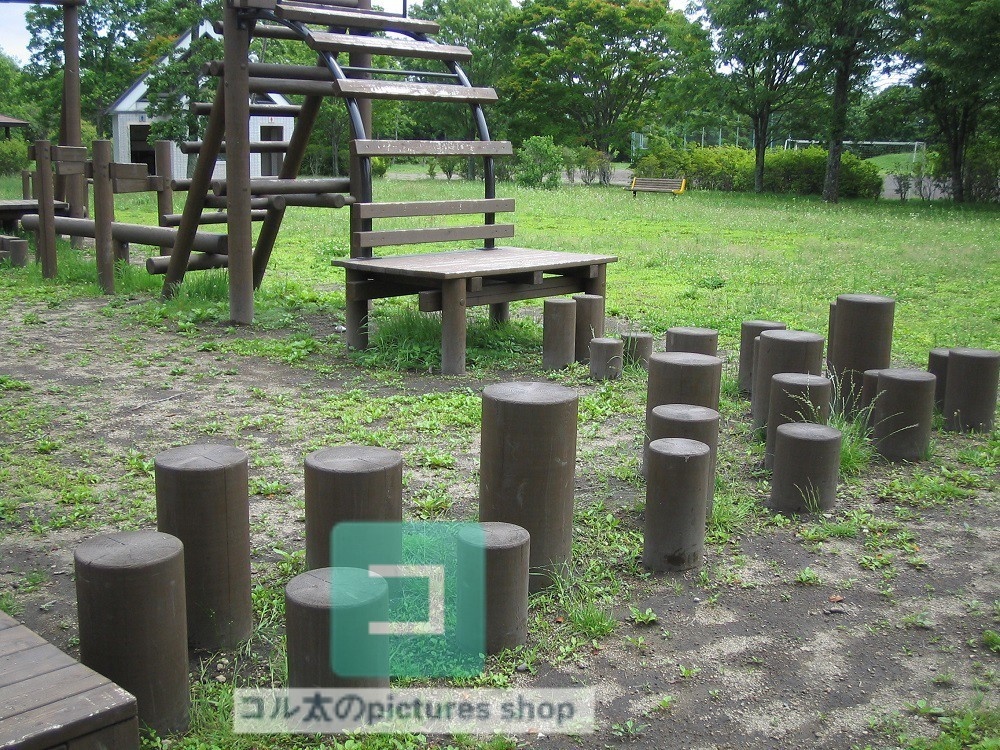 公園の風景②10枚・1セット