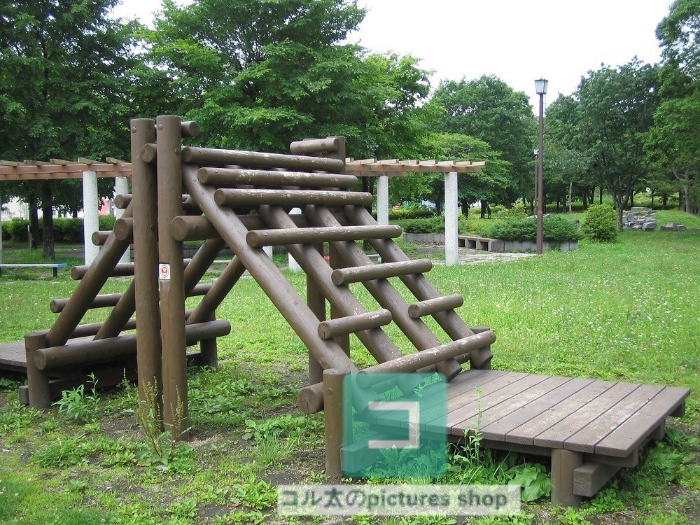 公園の風景②10枚・1セット