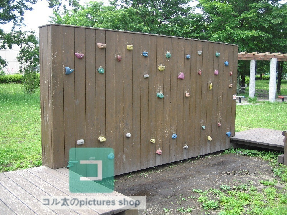 公園の風景②10枚・1セット