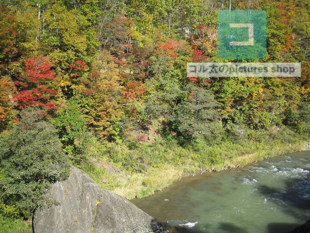 紅葉のある風景②10枚・1セット