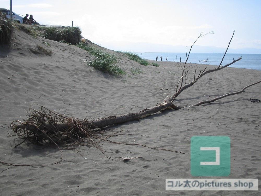 海のある風景①10枚・1セット
