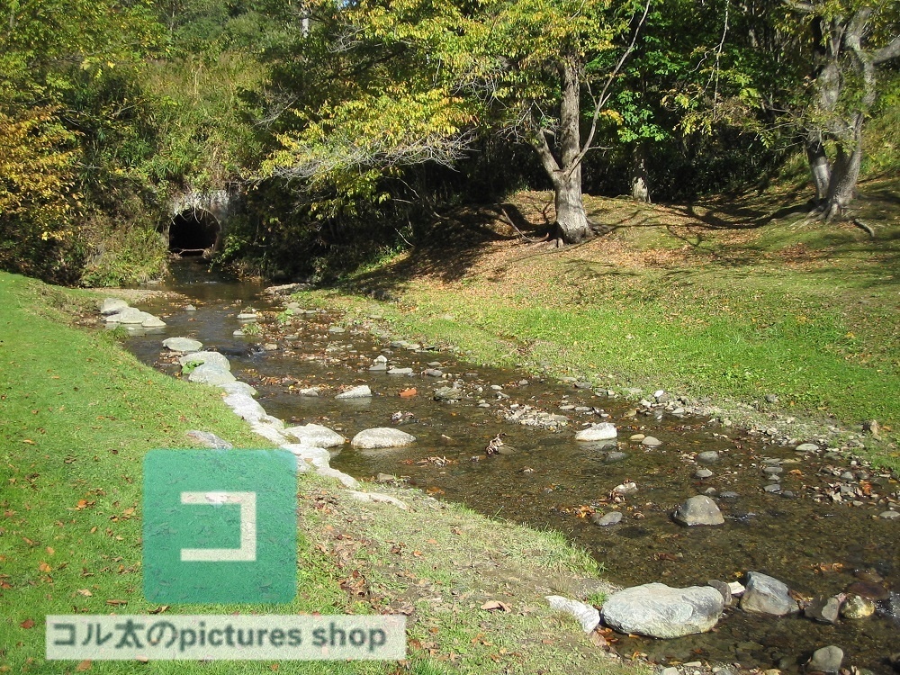 川のある風景①10枚・1セット