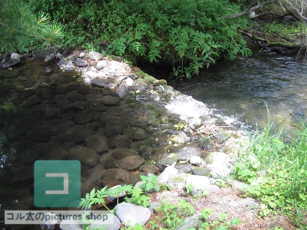 川のある風景①10枚・1セット