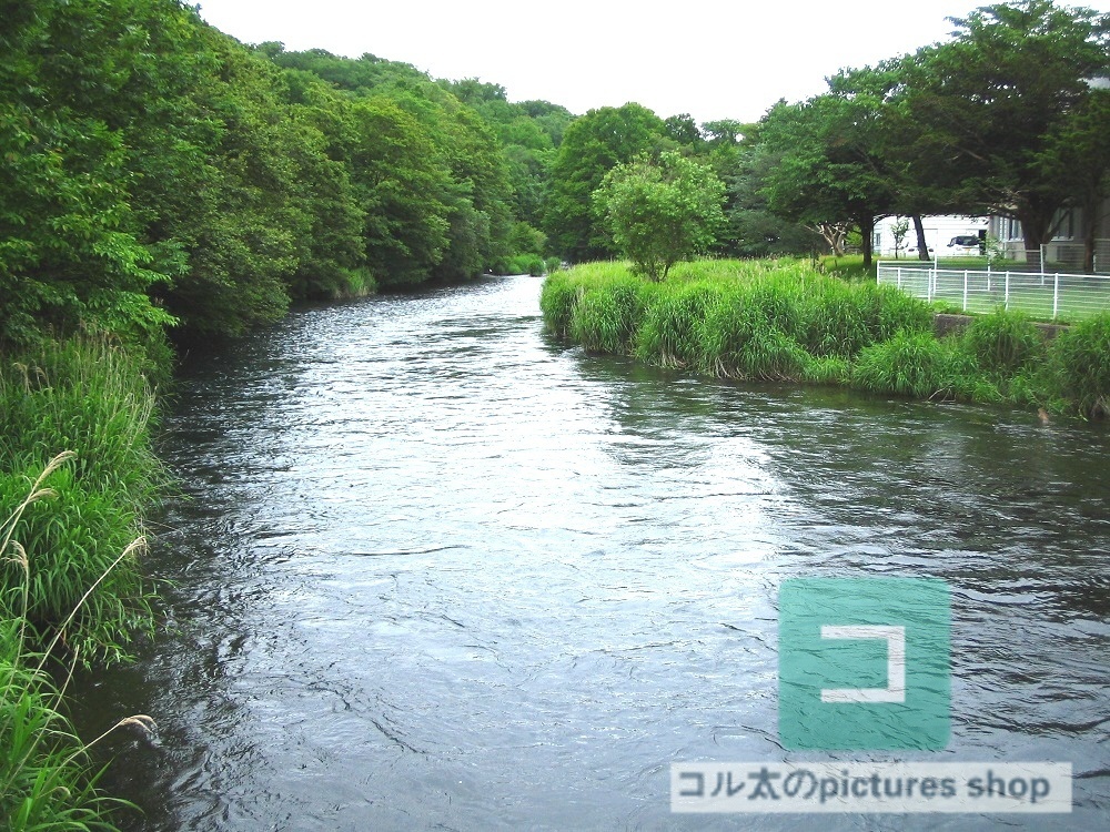 川のある風景①10枚・1セット