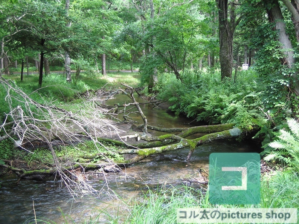 川のある風景①10枚・1セット