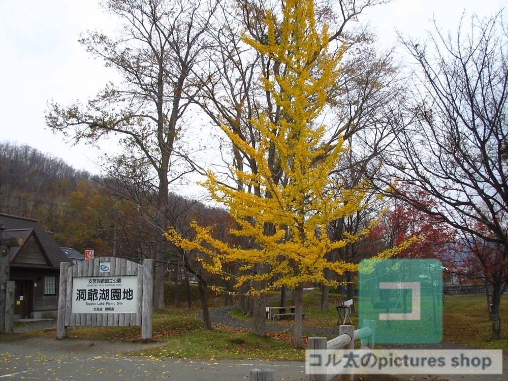 湖のある風景(洞爺湖・秋)①10枚・1セット