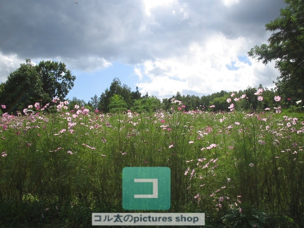 異世界のような風景②10枚・1セット