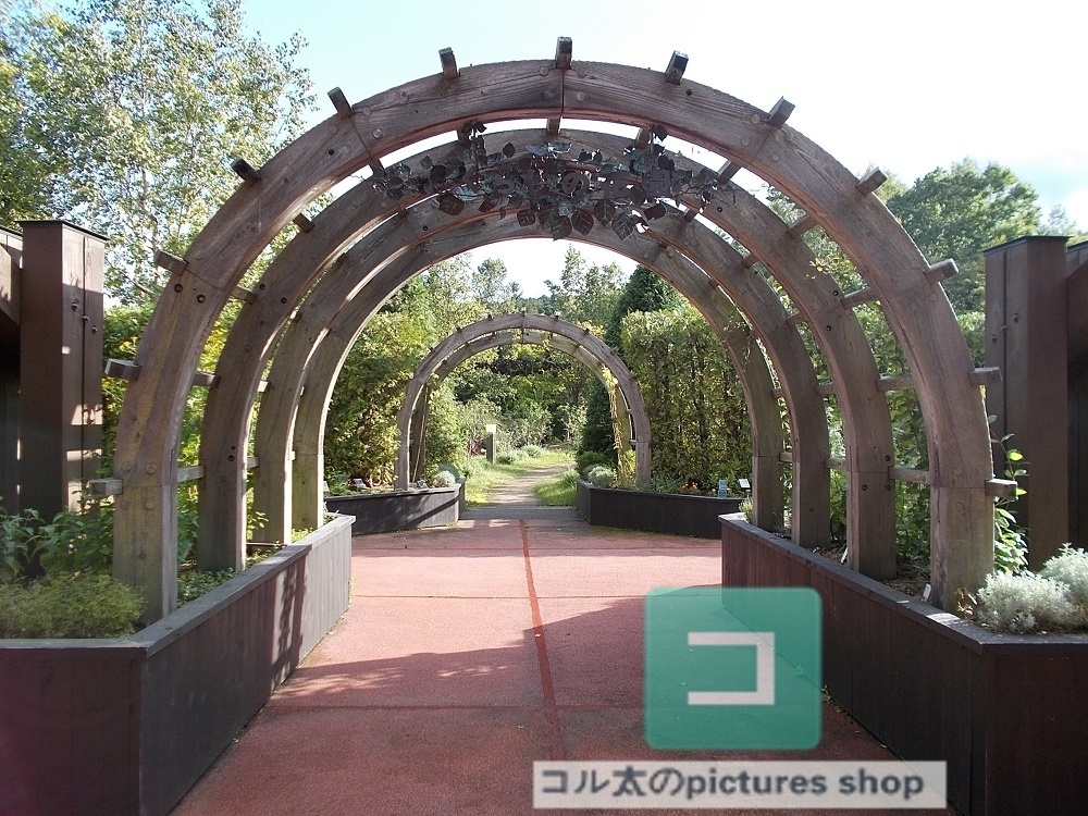 異世界のような風景②10枚・1セット