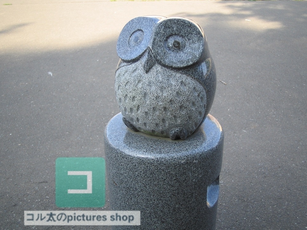 可愛いオブジェのある風景①10枚・1セット