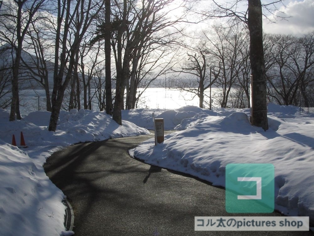 冬の風景・湖①10枚・1セット