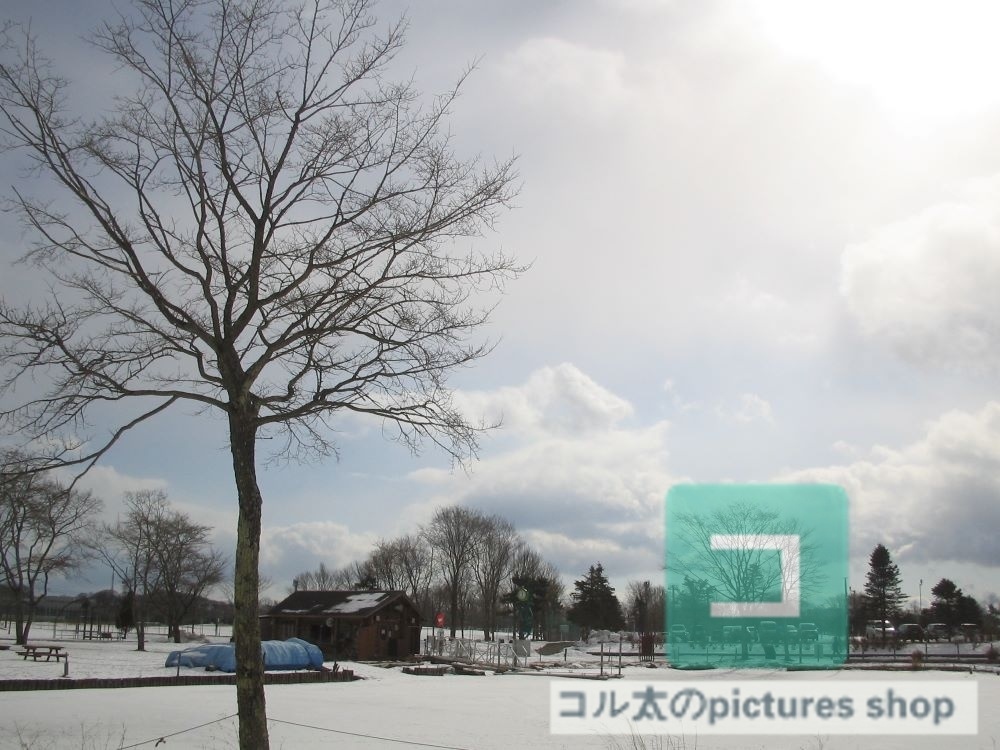 冬の風景・木①10枚・1セット