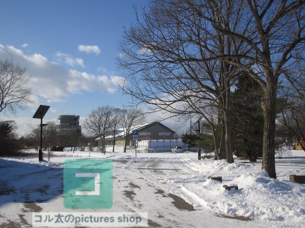 冬の風景・木①10枚・1セット