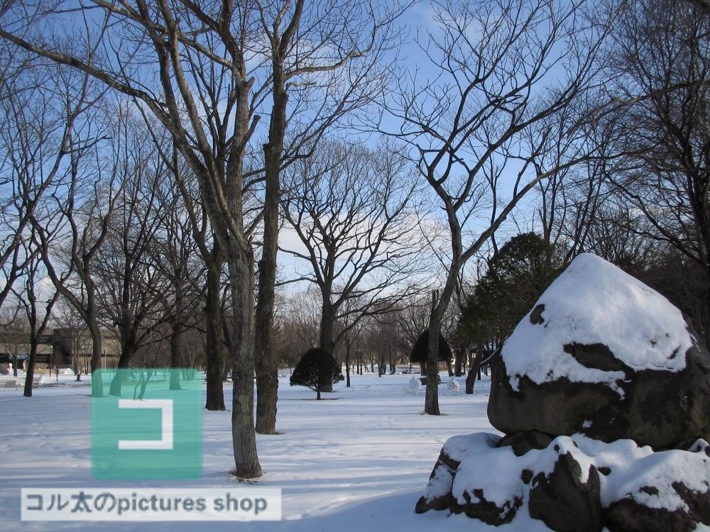 冬の風景・木①10枚・1セット