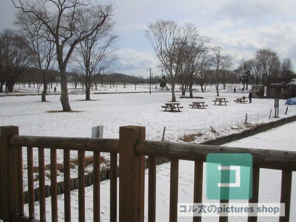 冬の風景・木①10枚・1セット