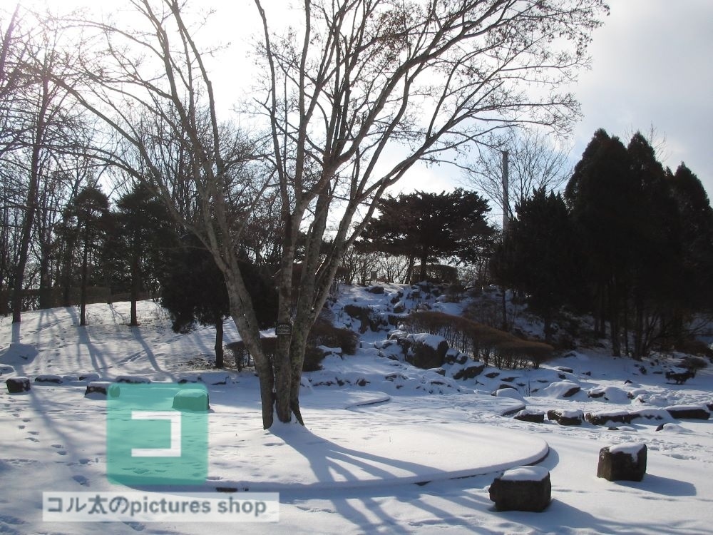 冬の風景・木①10枚・1セット