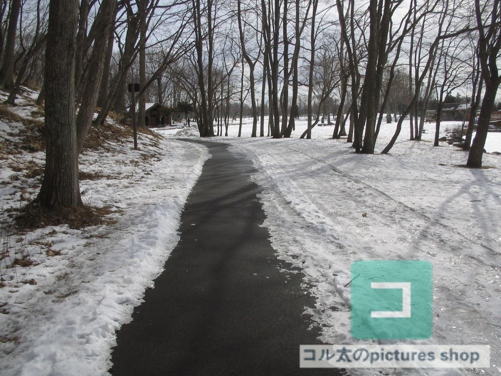 冬の風景・木①10枚・1セット