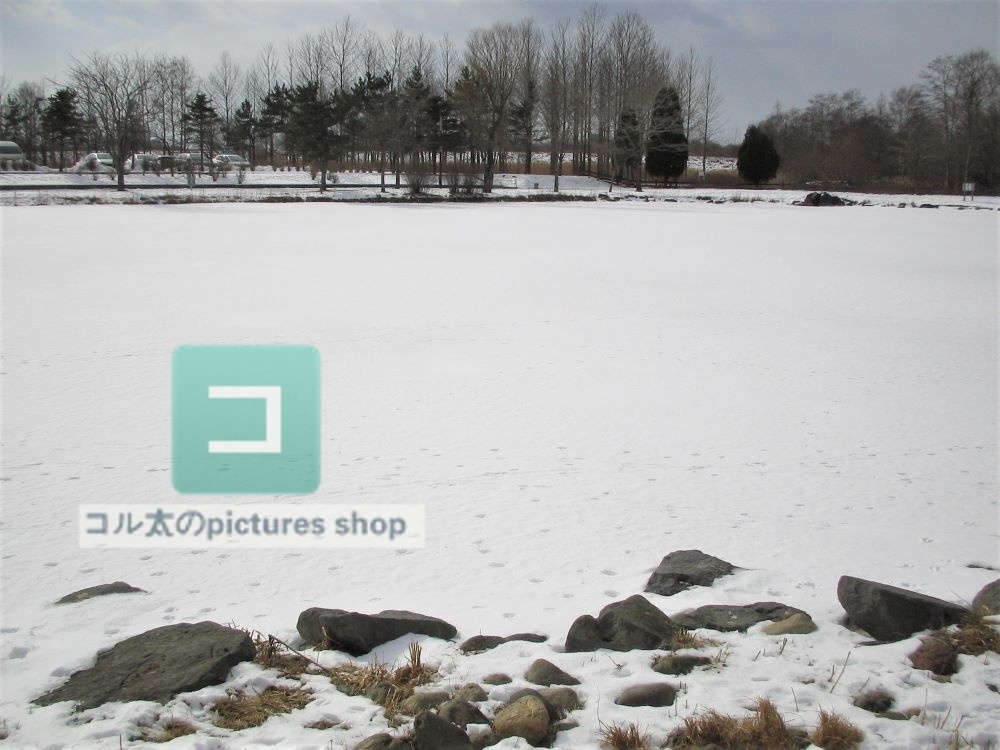 冬の風景・木①10枚・1セット